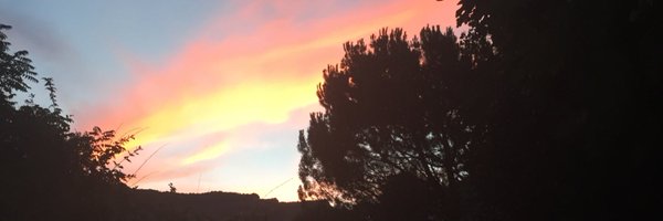 Jess_Tuthill Profile Banner