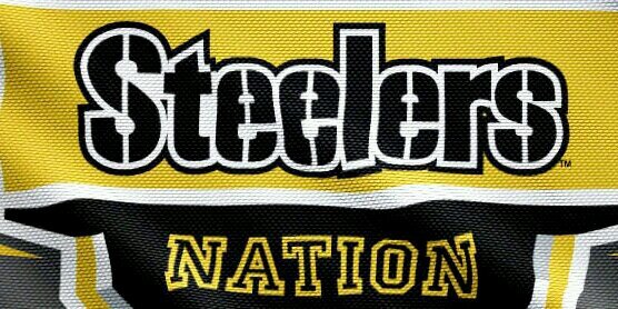 BestSteelerPics's profile banner image