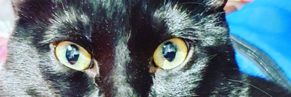 BalaschRue Profile Banner