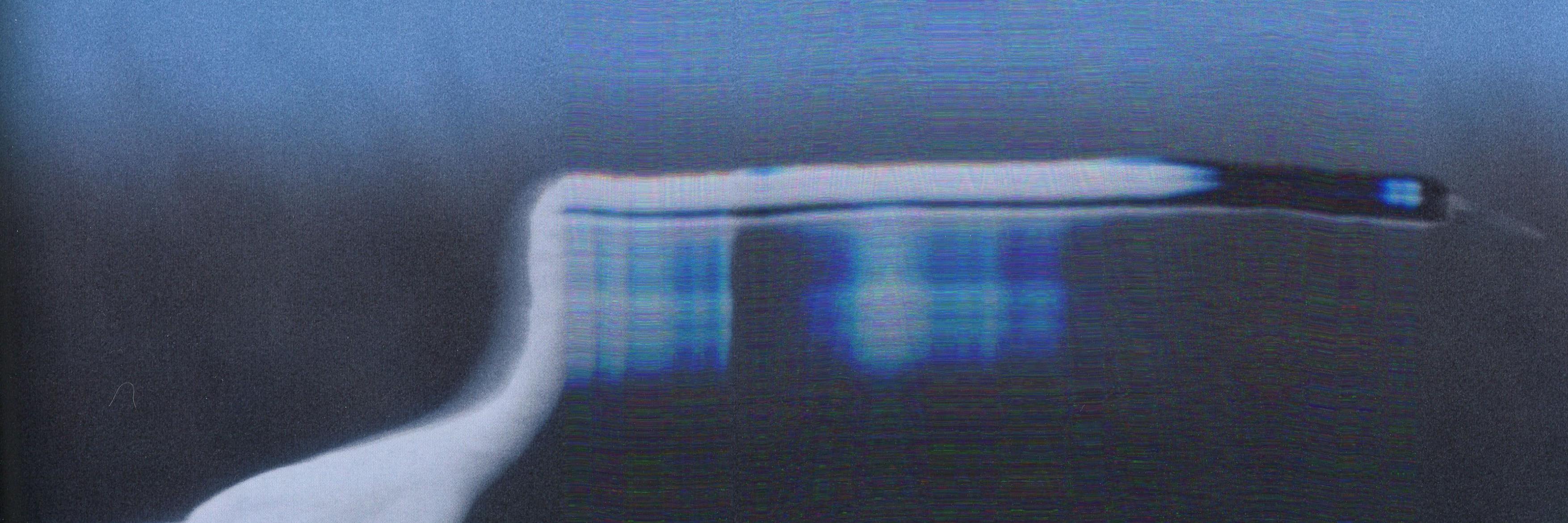 amy_j_wilson's profile banner image