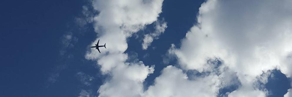 TravelCollect's profile banner image