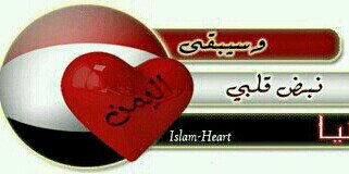 elham712's profile banner image