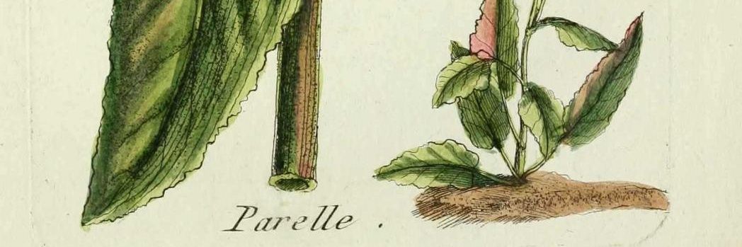 ReseauParElles's profile banner image