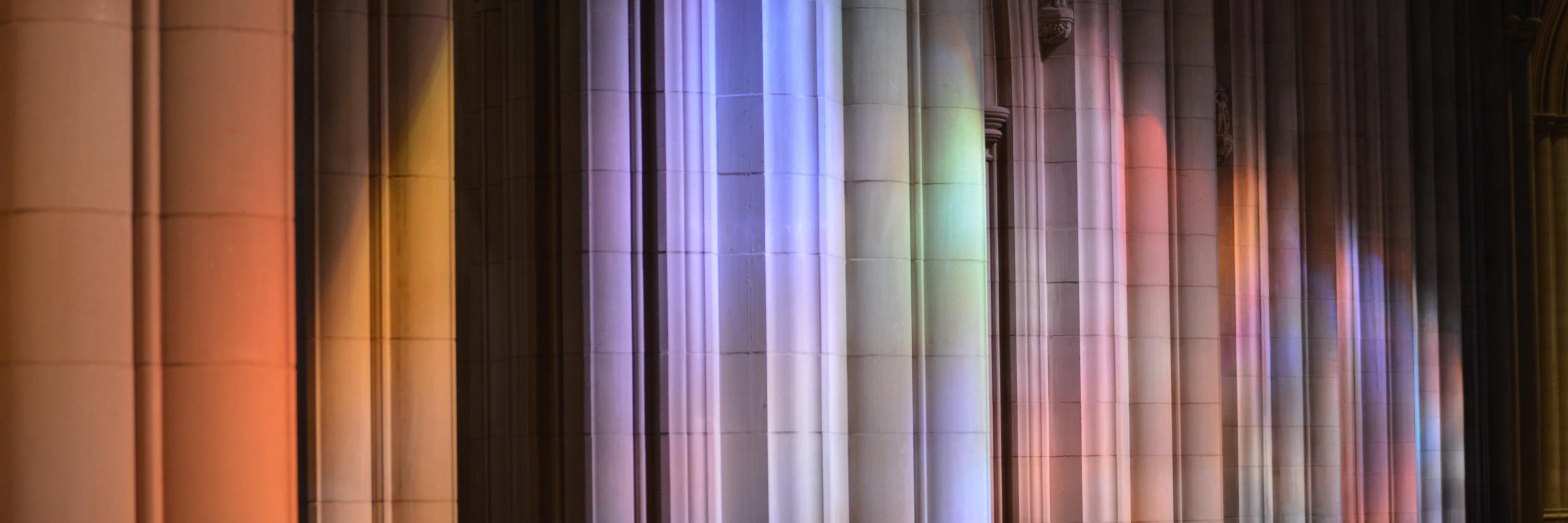 Sharon Hamer banner