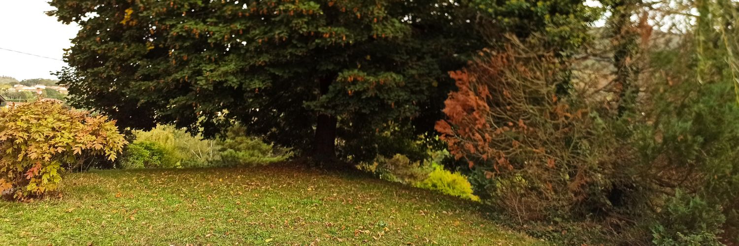 loicgarde's profile banner image