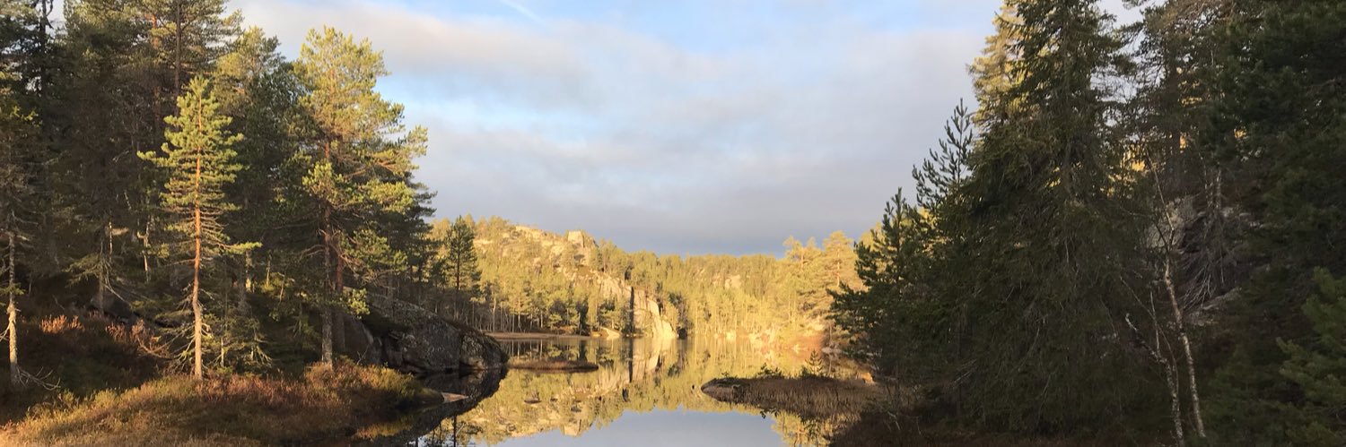 jornis's profile banner image