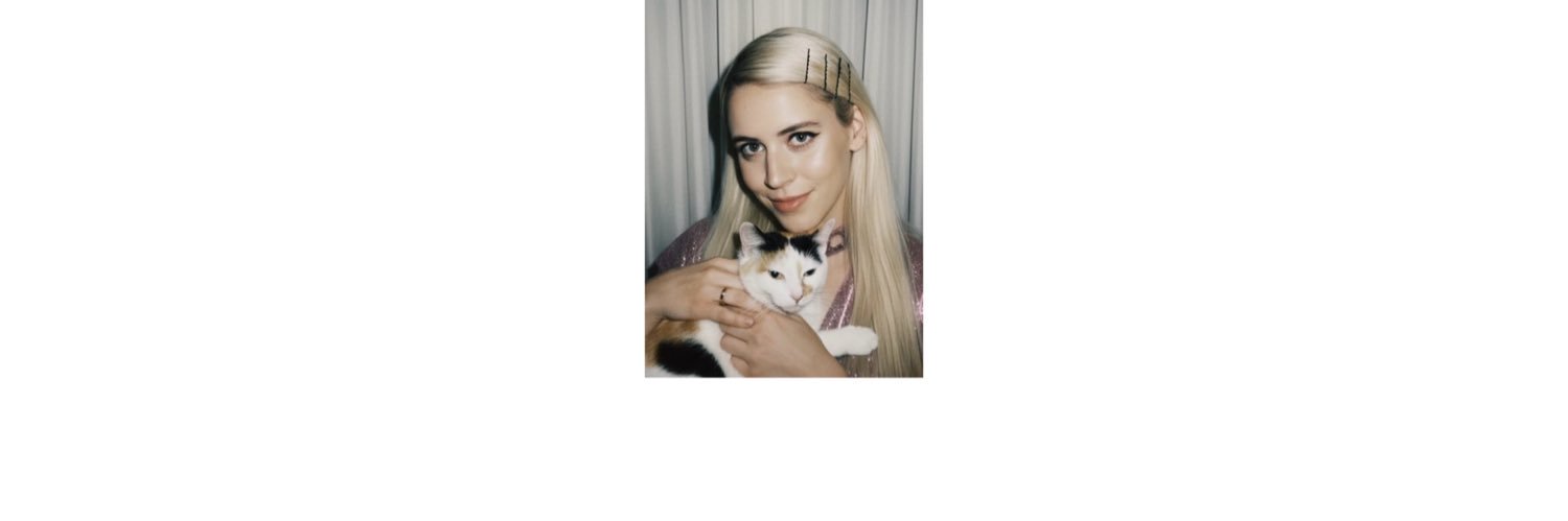 lausaurusrex's profile banner image