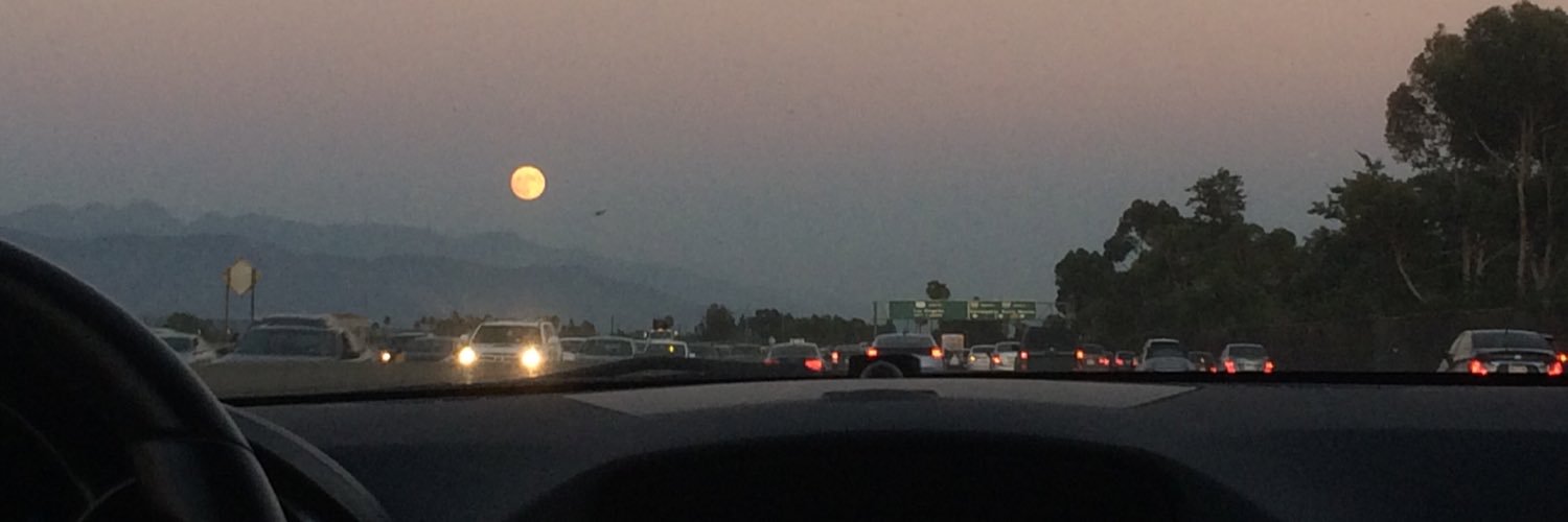 melody sinclair banner