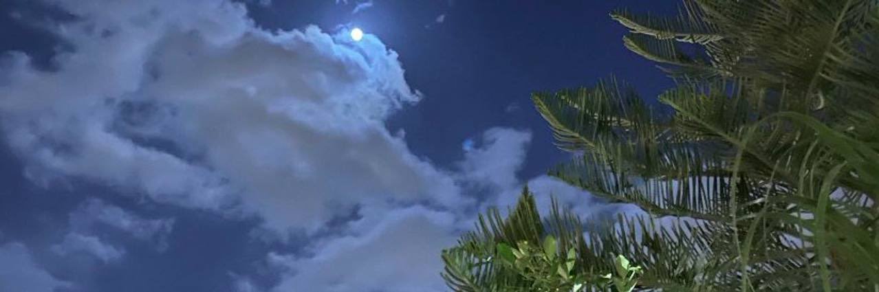 iideems's profile banner image