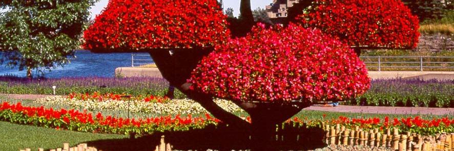 ALIASIF002's profile banner image