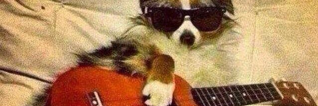 WSB_MOB's profile banner image
