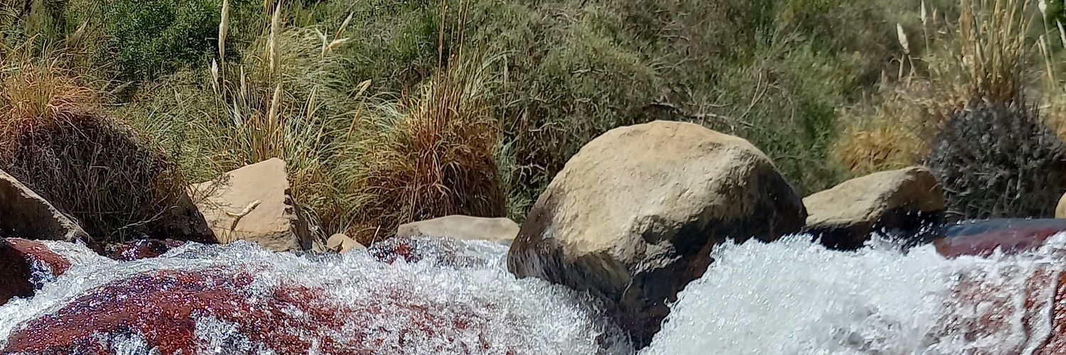 majosecb's profile banner image