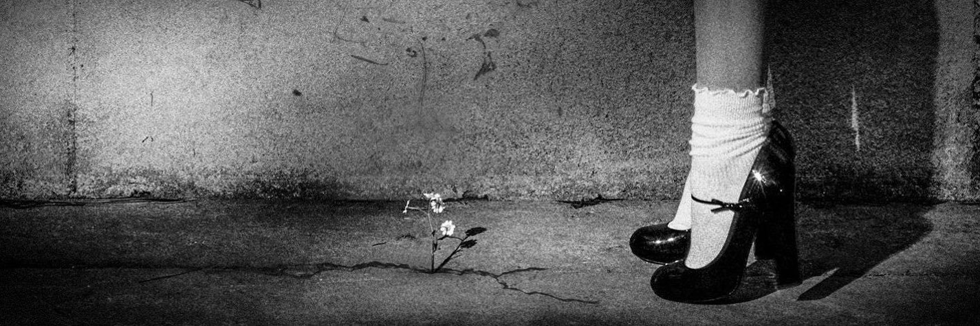 lowriseari's profile banner image