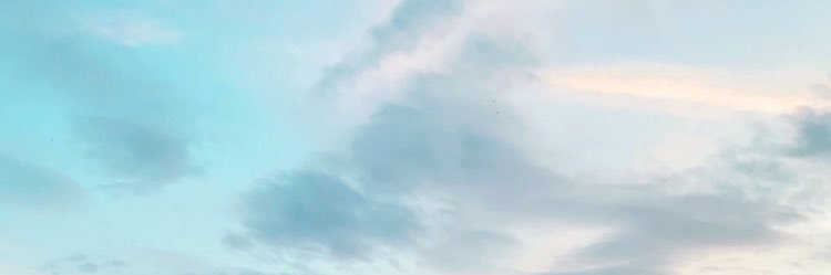 orlamcmanamonx's profile banner image