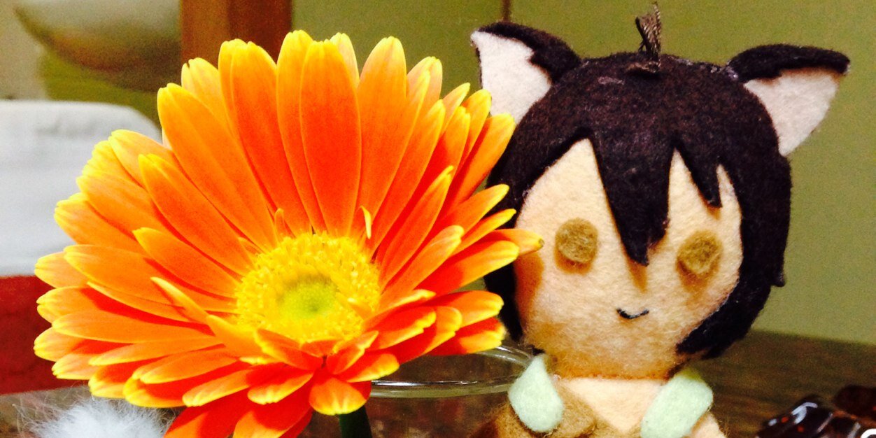 header image