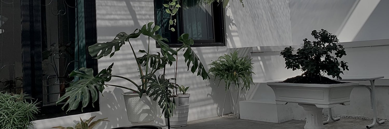 jellychocoltx's profile banner image