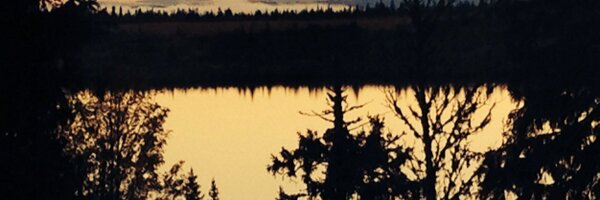 PHeie Profile Banner