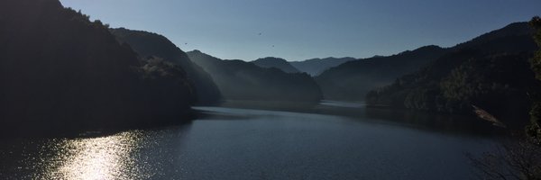 GowElizabeth Profile Banner