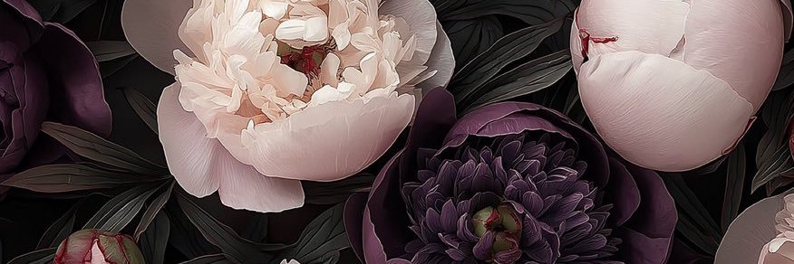 alyse_wisdom's profile banner image