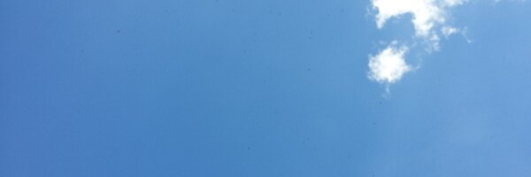 lotharmat Profile Banner