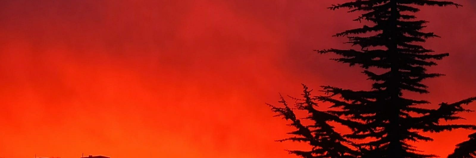 sdthrdm's profile banner image