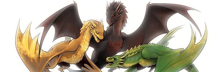 jeungi's profile banner image