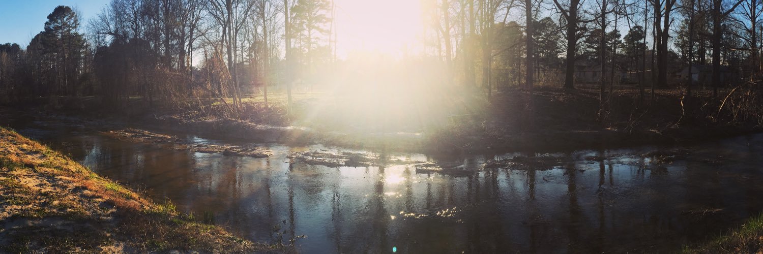 PhotoArkansas's profile banner image