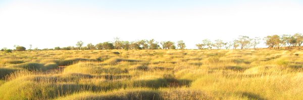 Neilham2007 Profile Banner