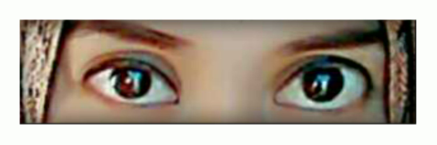 Ir. Eka Satrya P.MP banner