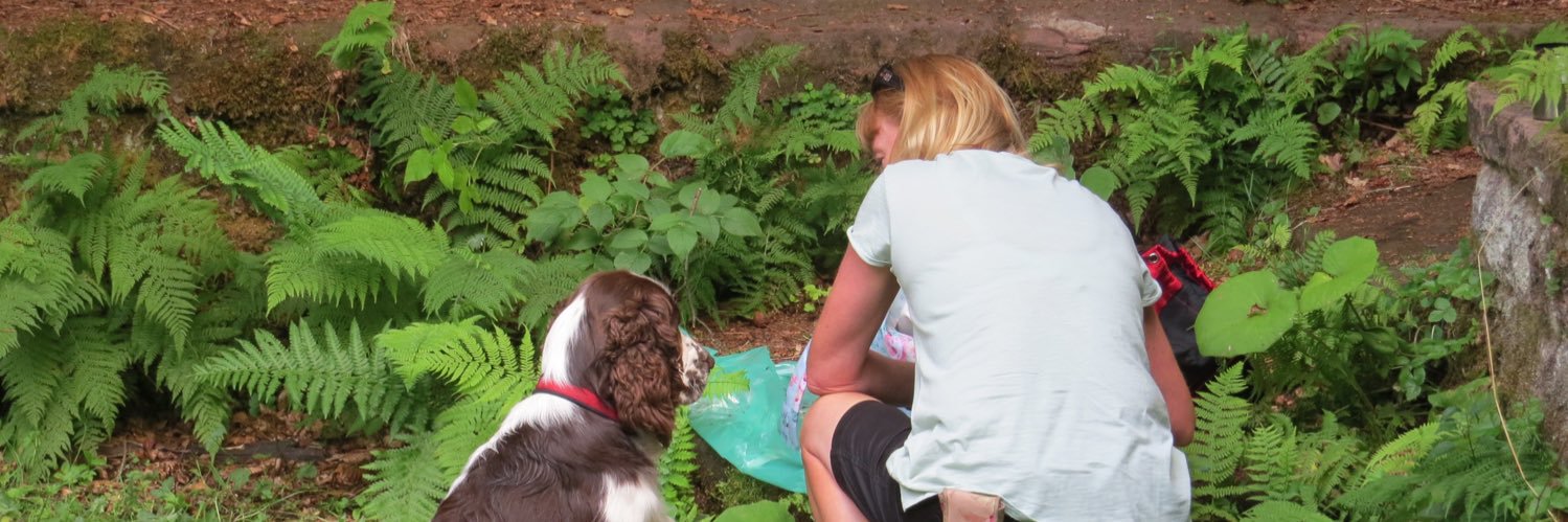 Andy 🇺🇦 banner