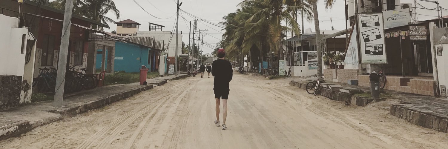 Soledris's profile banner image