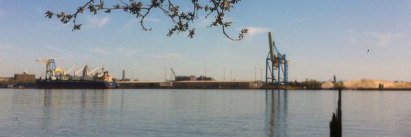 jaredbrey Profile Banner