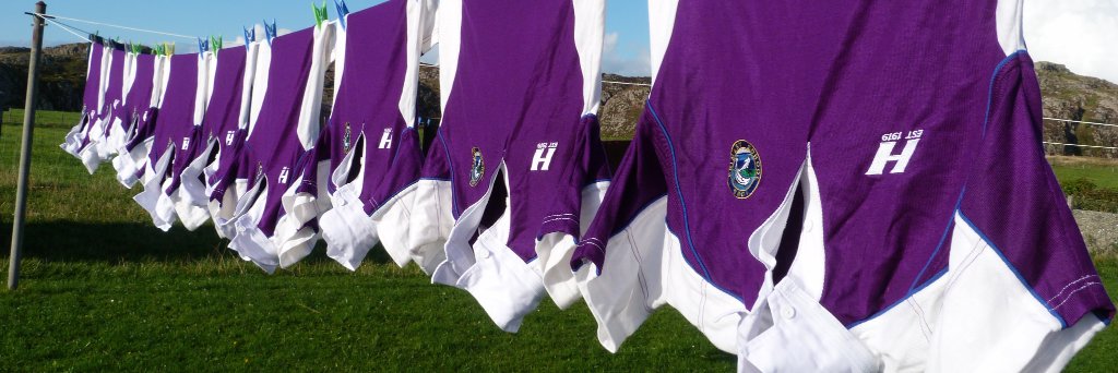 PrimaryIona's profile banner image
