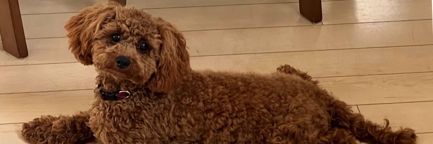 habatch's profile banner image