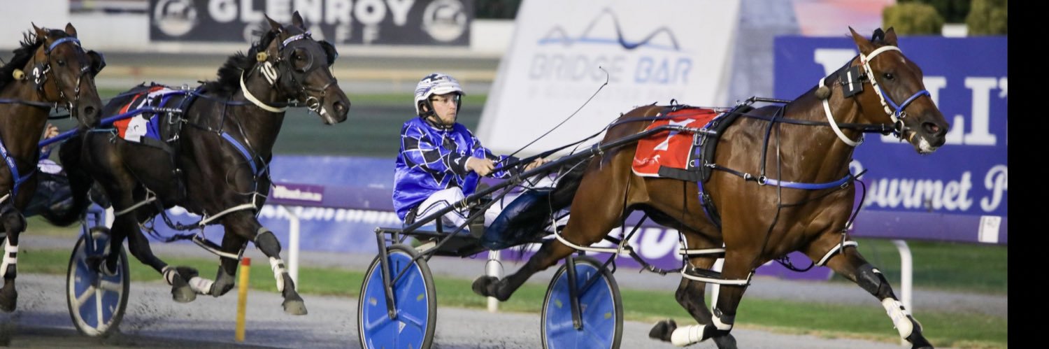 Four Diamonds Pacing banner