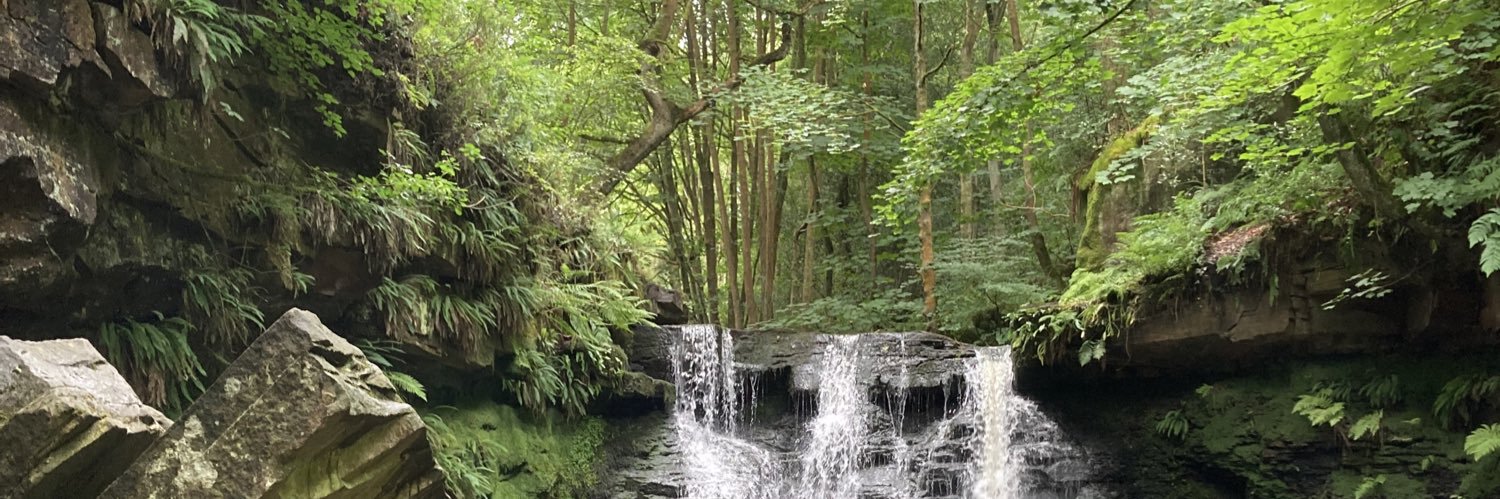 Lisa Sharples 🌳 banner