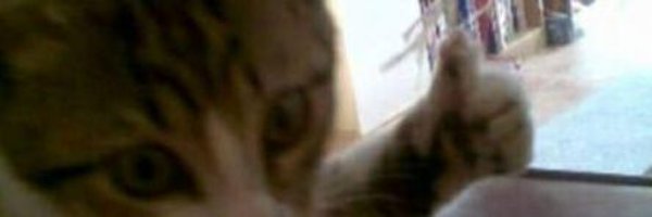 dhknp_ Profile Banner