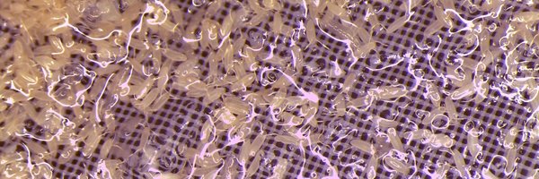 jdenavascues Profile Banner