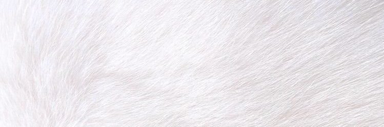 fthlia_'s profile banner image