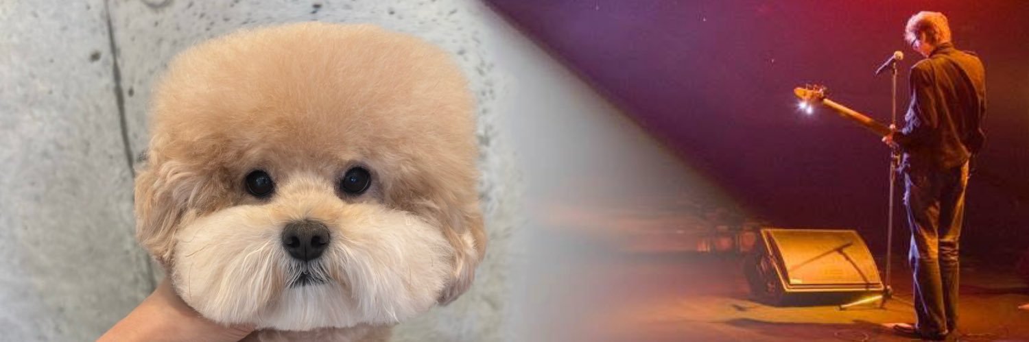 mizwe's profile banner image