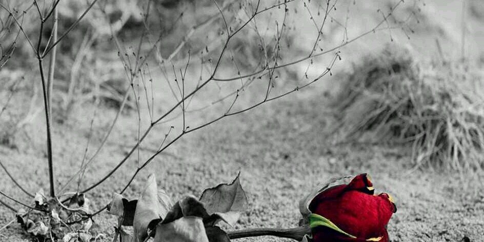 hartito_'s profile banner image