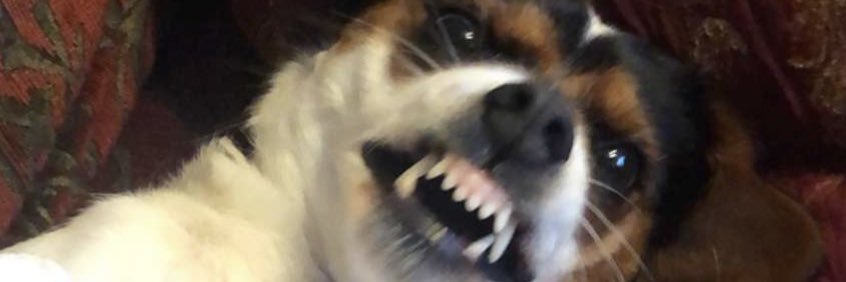 TomosToft's profile banner image