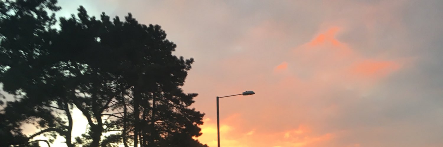 jasminebaynham's profile banner image