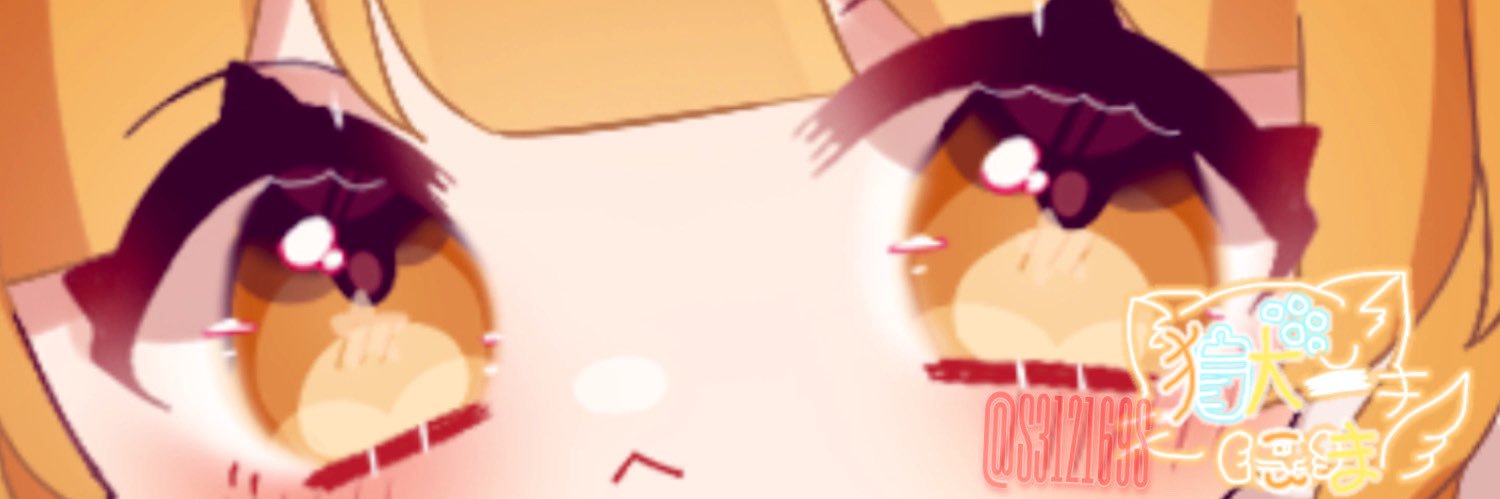 S312169S's profile banner image