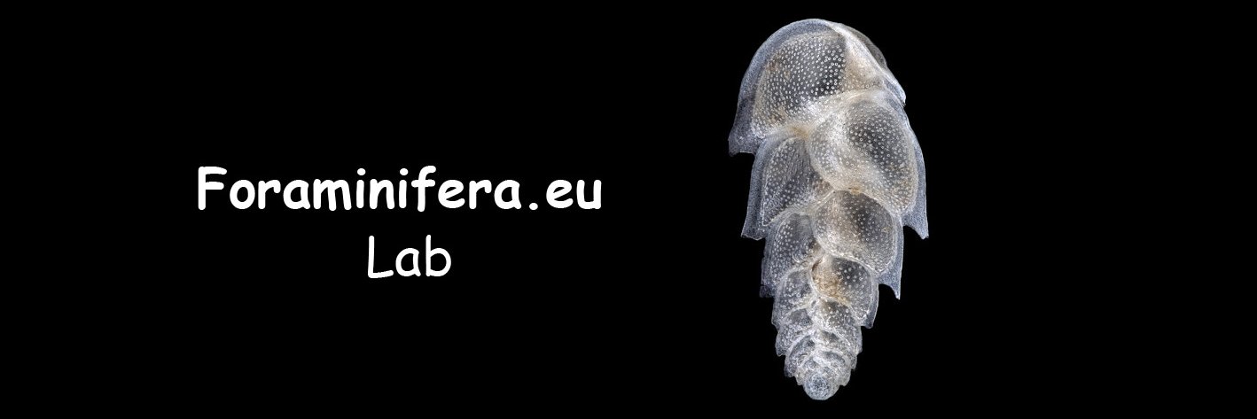 Foraminifera.eu banner