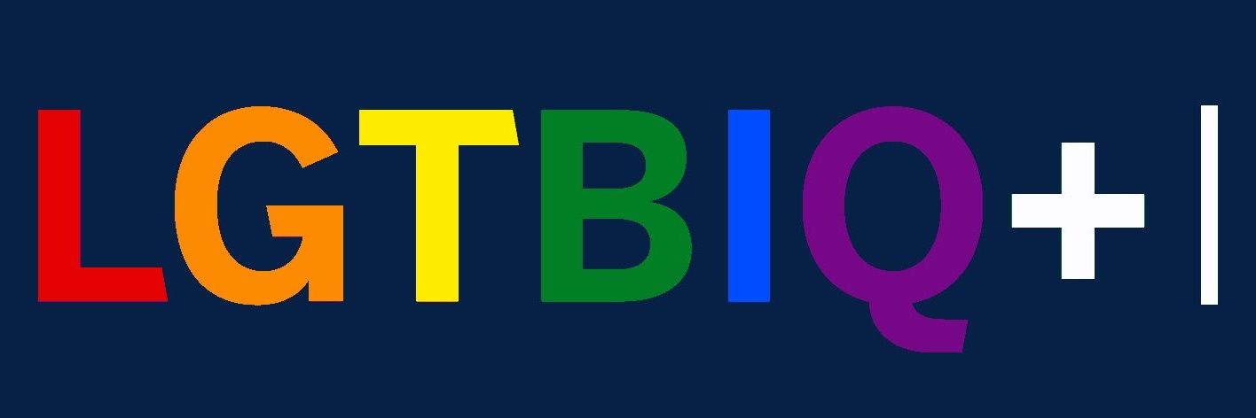 El Cochi 🐖 banner