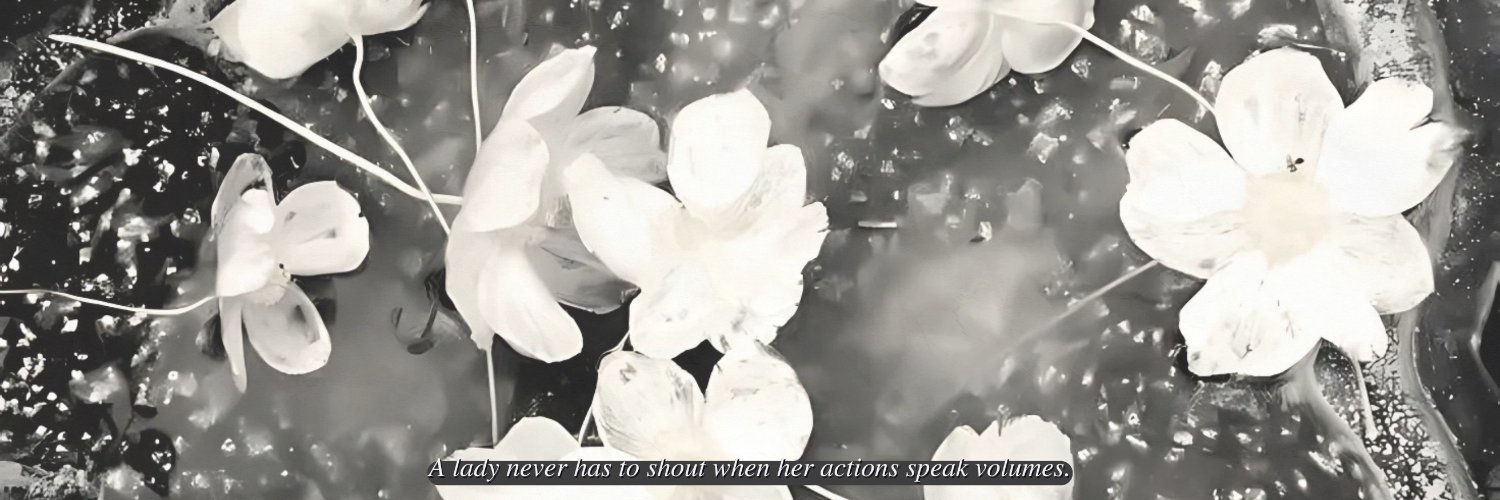 spintlady's profile banner image