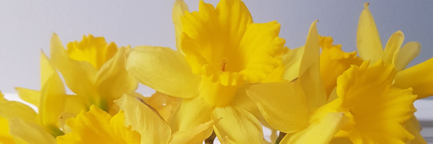 cchilvers79's profile banner image