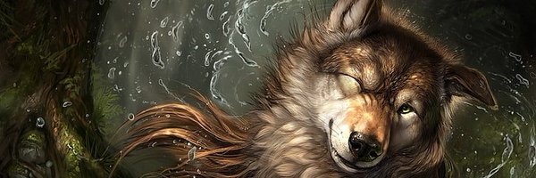 Loup_Pirate Profile Banner