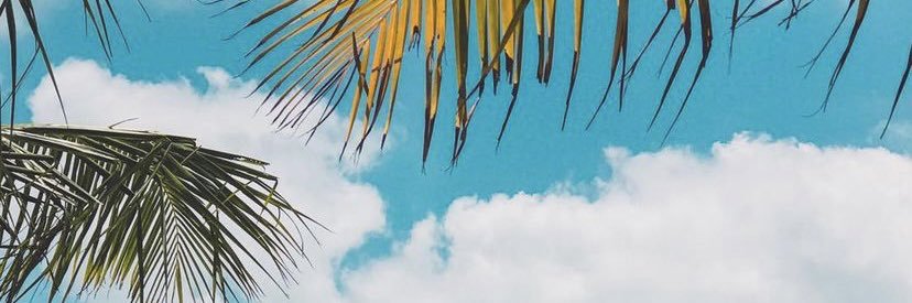 Ruilan's profile banner image